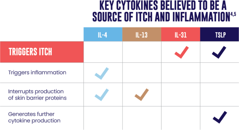  A table of key cytokines believed to be a source of itch and inflammation, with check marks corresponding to each cytokine’s role. IL-4 triggers inflammation and interrupts production of skin barrier proteins. IL-13 interrupts production of skin barrier proteins. IL-31 triggers itch. TSLP triggers itch and generates further cytokine production.