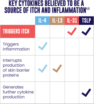  A table of key cytokines believed to be a source of itch and inflammation, with check marks corresponding to each cytokine’s role. IL-4 triggers inflammation and interrupts production of skin barrier proteins. IL-13 interrupts production of skin barrier proteins. IL-31 triggers itch. TSLP triggers itch and generates further cytokine production